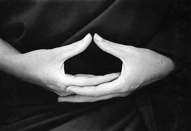 八圣道——达到佛教最高理想境地的八种方法